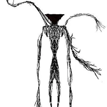 Profile image of The Broken end