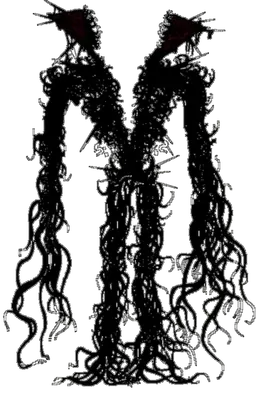 Profile image of Integrity
