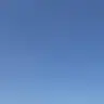 Profile image of 伊達
