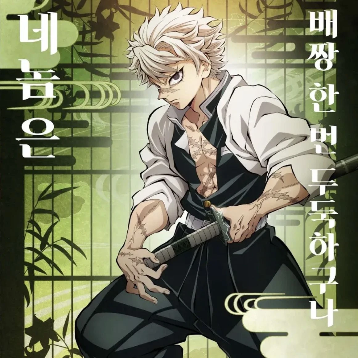 시나즈가와 사네미