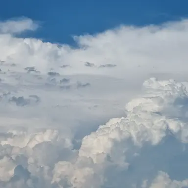 Profile image of 루이짠