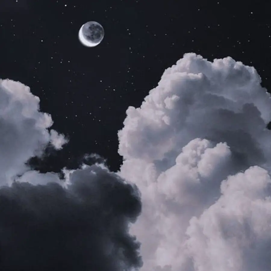 FlakyDuck4736의 싸이코드가 대려가고 싶은 인재?!