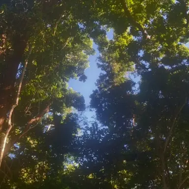 Profile image of リノ