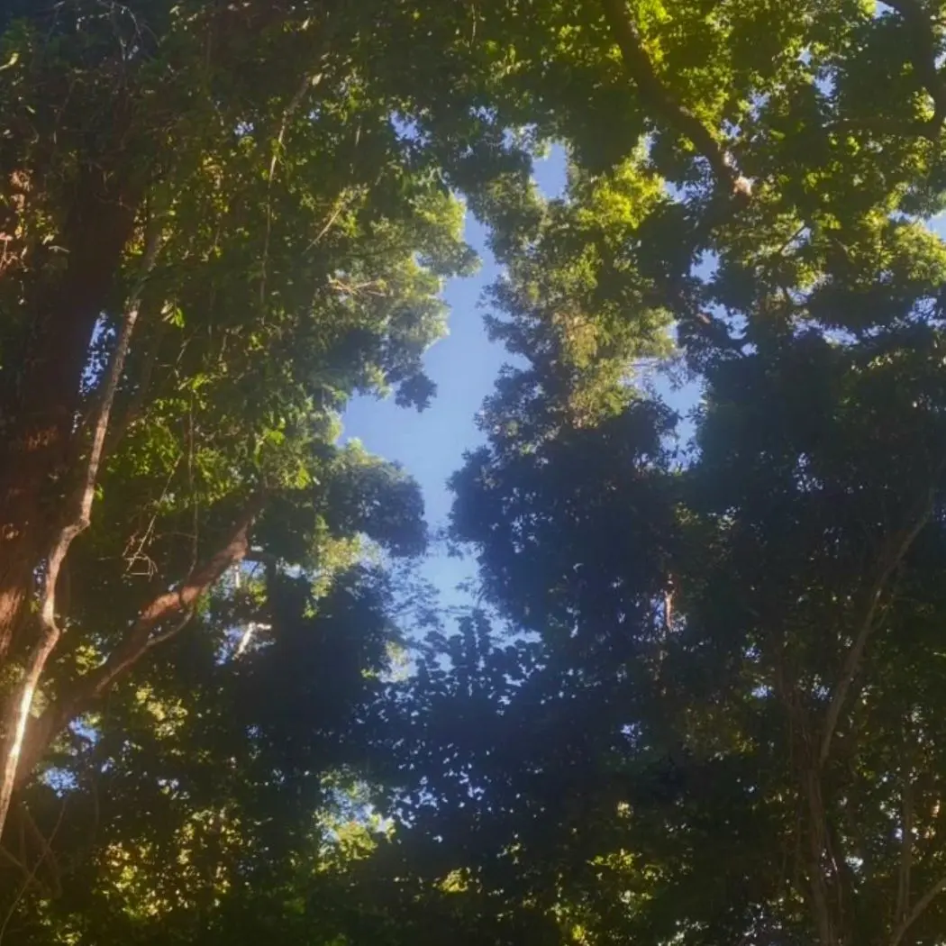 Shfusv0801x의 《修学旅行で…》