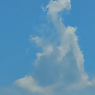 Profile image of 여우