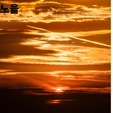 Profile image of 늑대