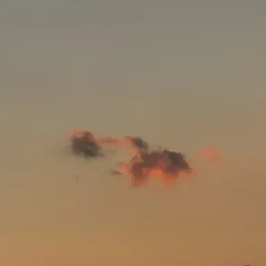 Profile image of 밥풀