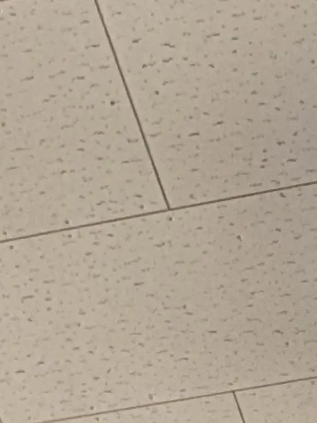 Kurosann의 君の瞳の色。