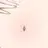 遥香のお腹
