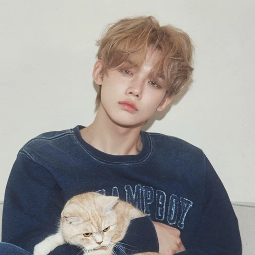 최연준