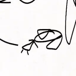 Profile image of 파피