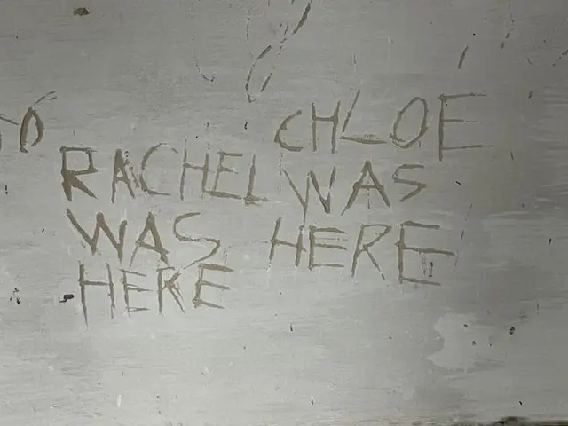 Profile image of Rachel Amber