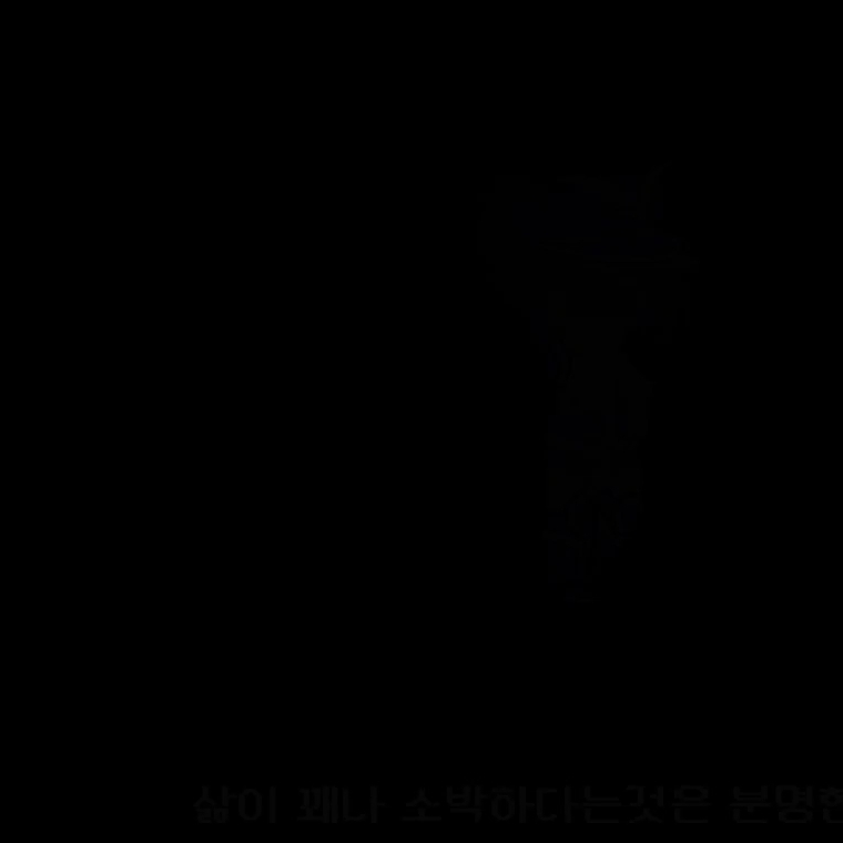 메탈카드봇 실험체들(?) 대표 이미지