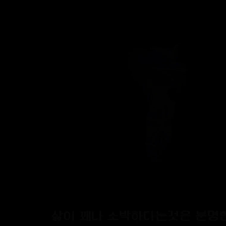 메탈카드봇
