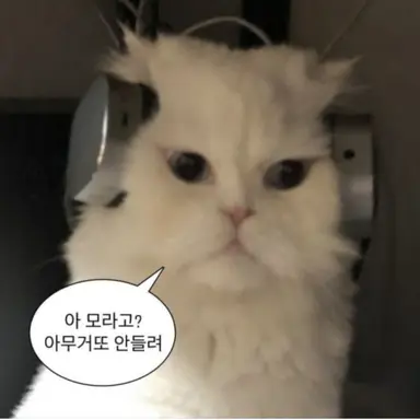 Profile image of 여우