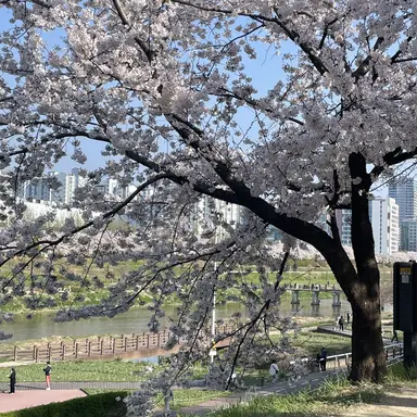 Profile image of 후시구로 하츠카