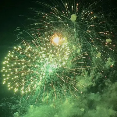 Profile image of 로보 프로스터