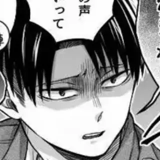 Profile image of リヴァイ