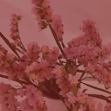 Profile image of 크리스