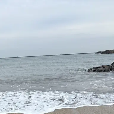 Profile image of 荼毘