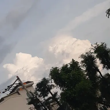 Profile image of 오비스트들