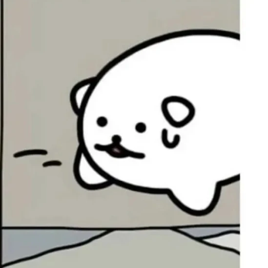 류