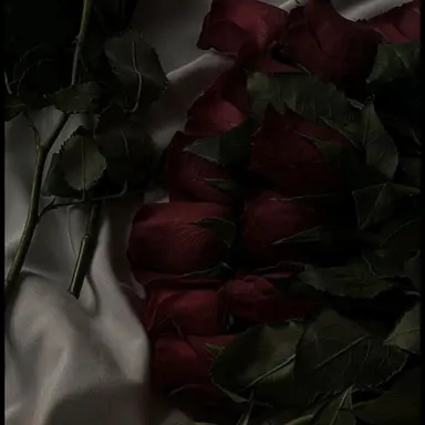 Profile image of 플래그