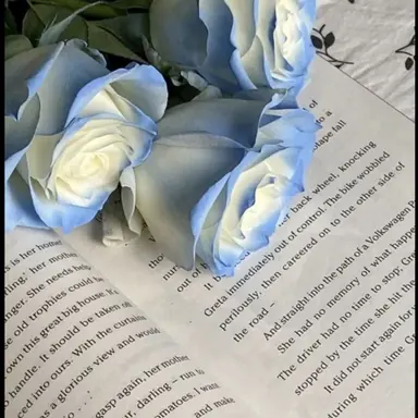 Profile image of 행크