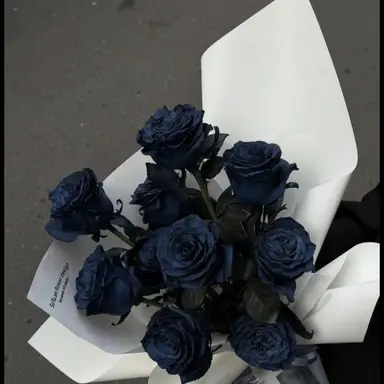 Profile image of 파이브