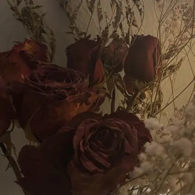 Profile image of 예엥