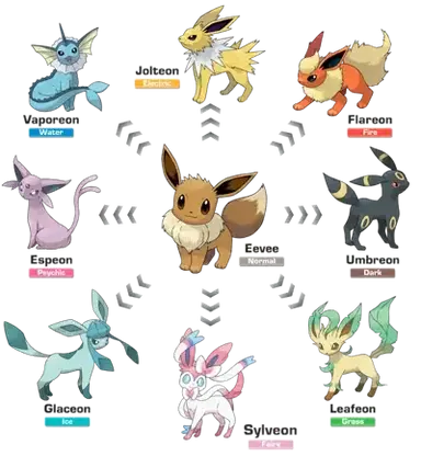 Profile image of The eeveelutions