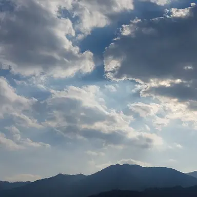 Profile image of user.