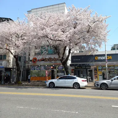 Profile image of 케로로