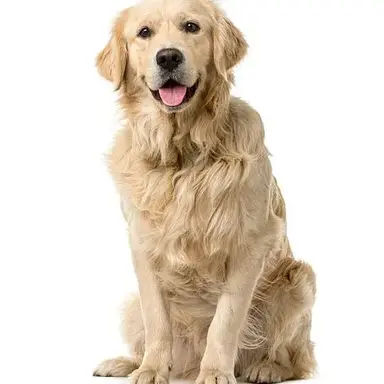 Profile image of Jessica