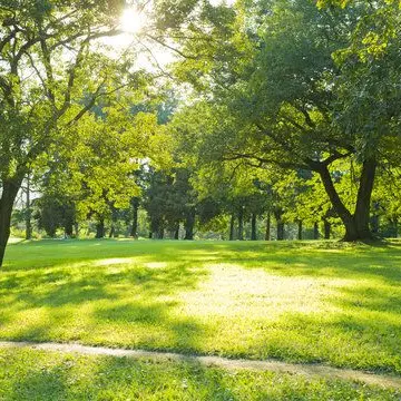 Profile image of 公園