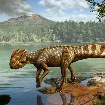 Profile image of 코리아케라톱스