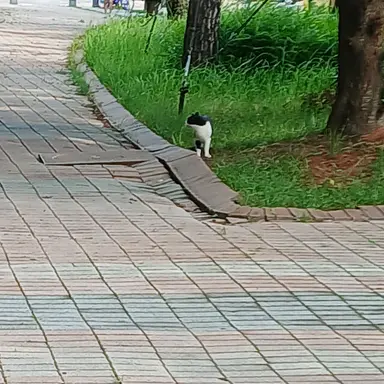 Profile image of 우즈이 텐겐