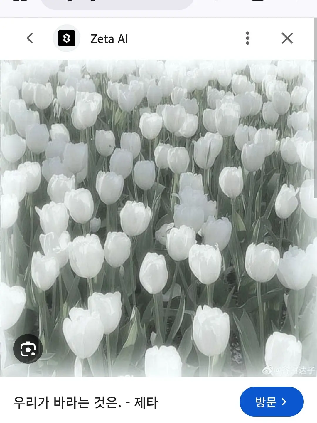 AIp의 팀나빠-마음예보💕