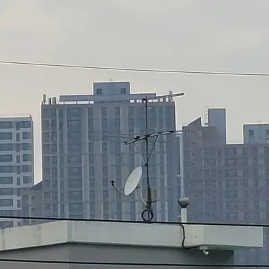Profile image of 여우