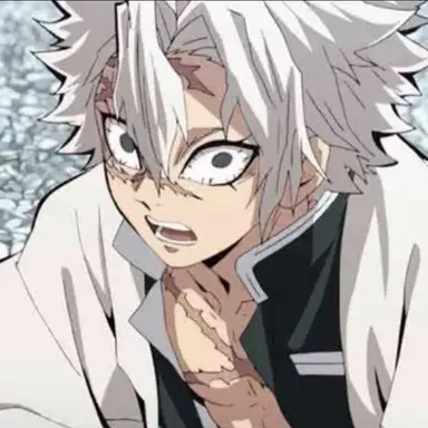 Profile image of Sanemi shinazugawa