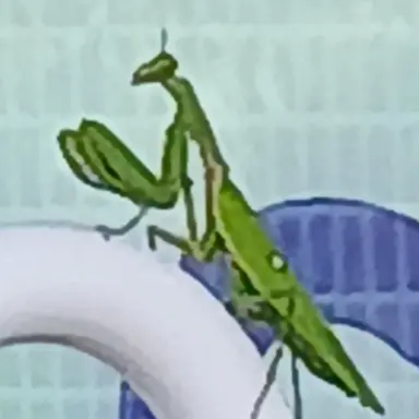 Profile image of 여우