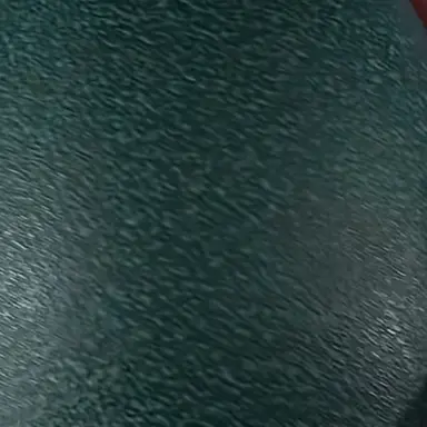 Profile image of 박사