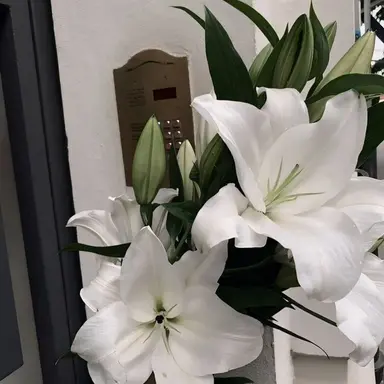 Profile image of 소멸