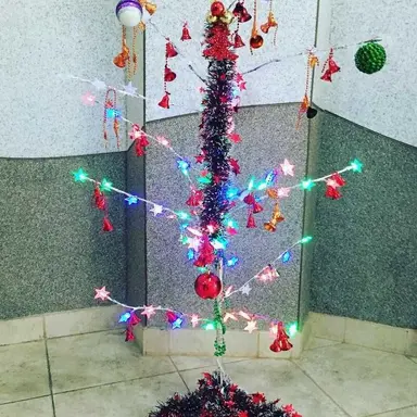 Profile image of 트리