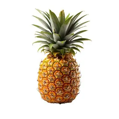 Profile image of Pineapple