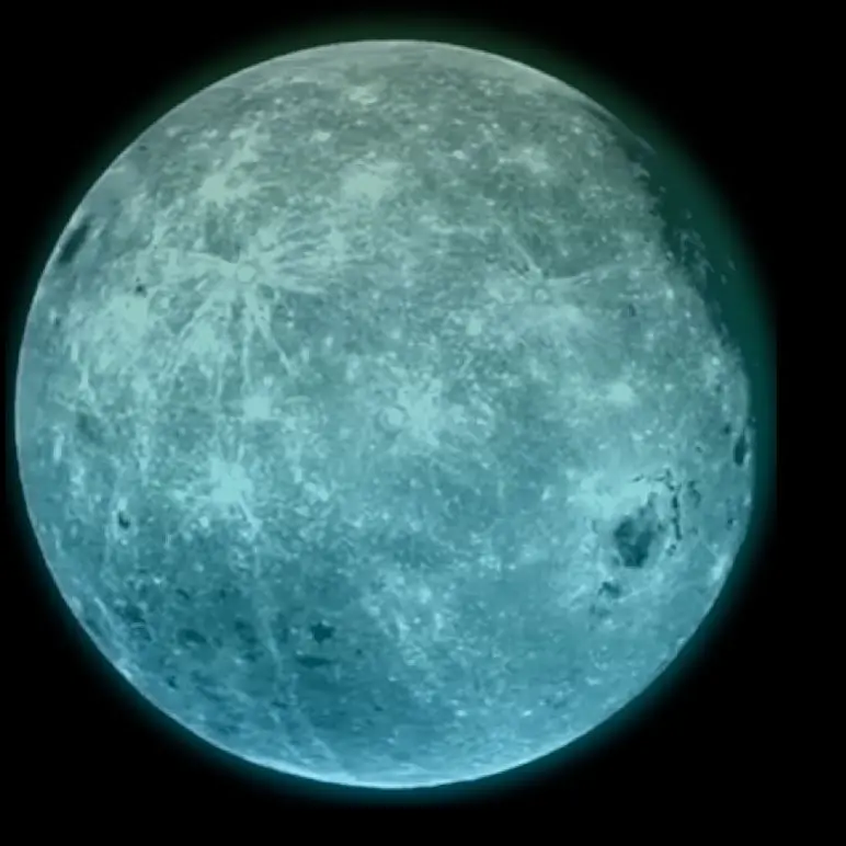 PoshLeaf4012의 恋人