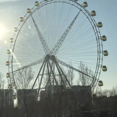 Profile image of 여우