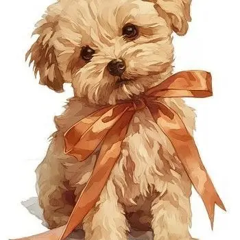 Profile image of 쪼꼬