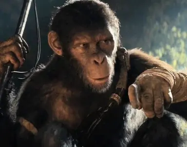 Profile image of Noa