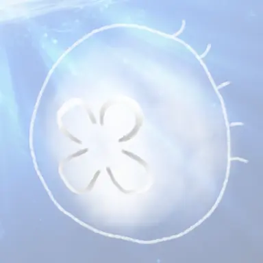 Profile image of Kurage